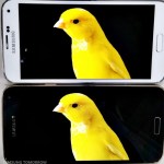 Plus de détails sur l’écran QHD AMOLED du Samsung Galaxy S5 LTE-A