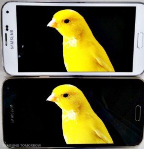 Samsung Galaxy S5 LTE-A QHD