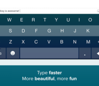 fleksy