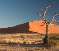 google plus desert