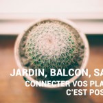 Jardin, salon, balcon : les objets connectés au service des plantes