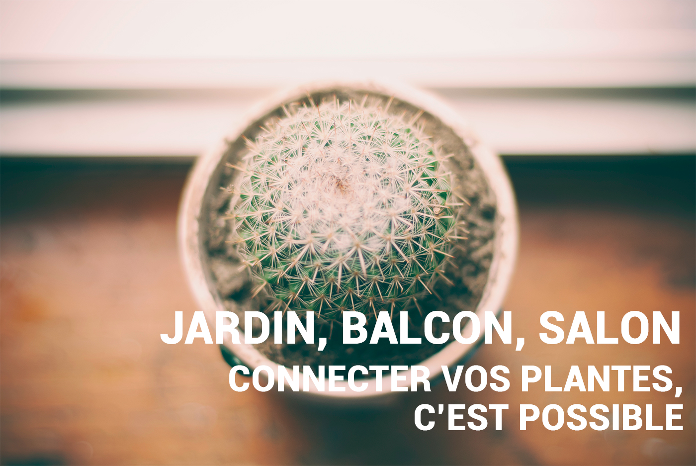 Jardin connecté