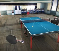 table tennis touch
