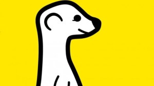 Meerkat sort enfin de bêta fermée sur Android