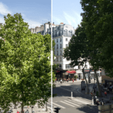 Samsung Galaxy S6 : Que valent les photos au format DNG (RAW) ?