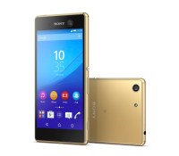 02_M5_gold_group