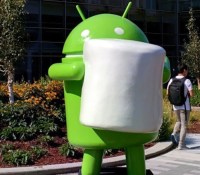 marshmellow