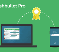 pusbullet pro 2
