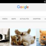 Google Images permet de sauvegarder plus facilement des images de chats mignons