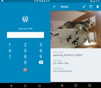 wordpress