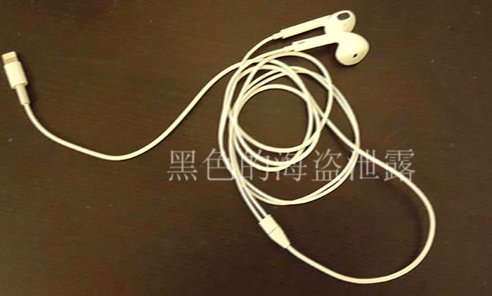 Apple EarPods Lightning