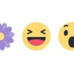 Facebook se lance dans les réactions ponctuelles (et fleuries) à l’occasion de la fête des mères