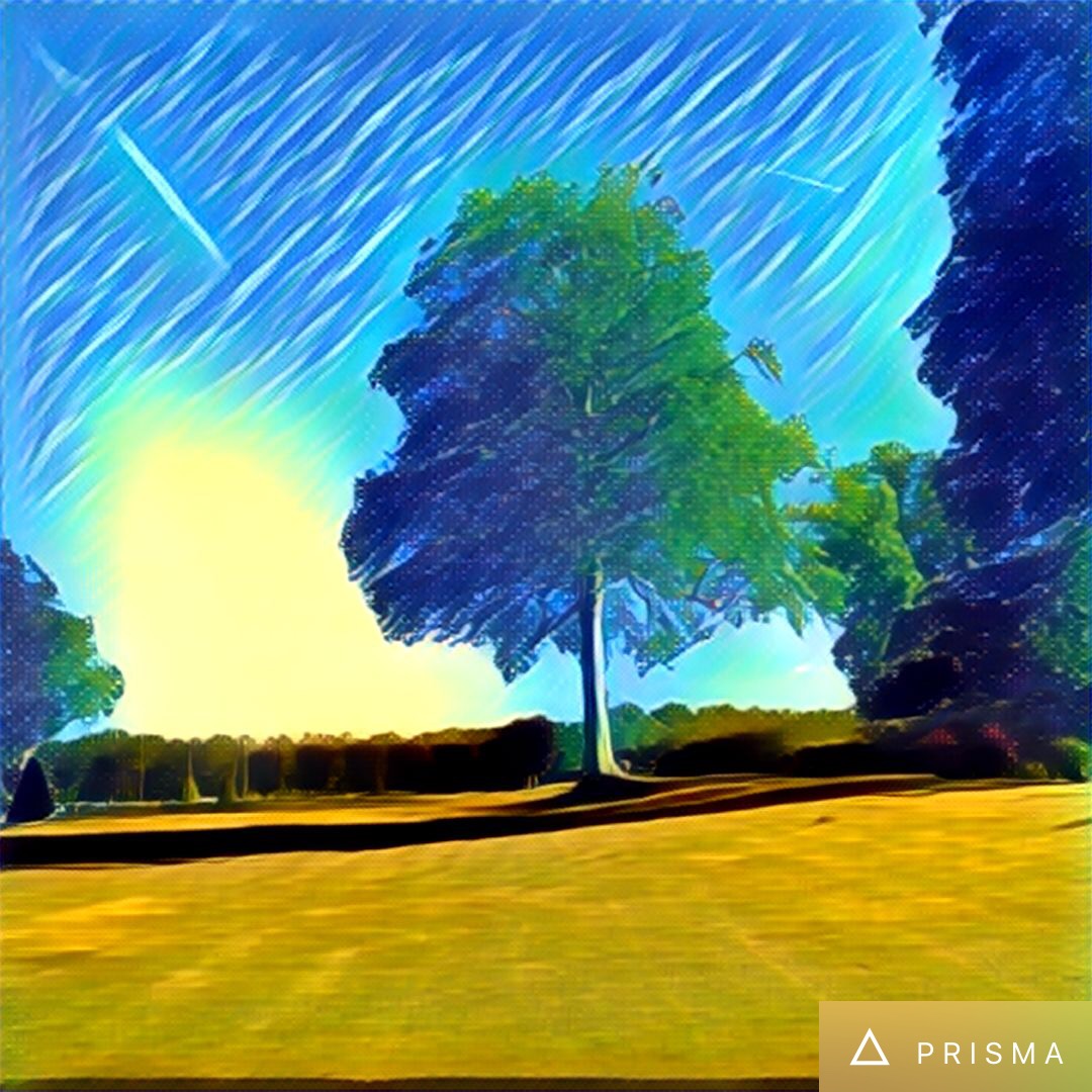 prisma app 5