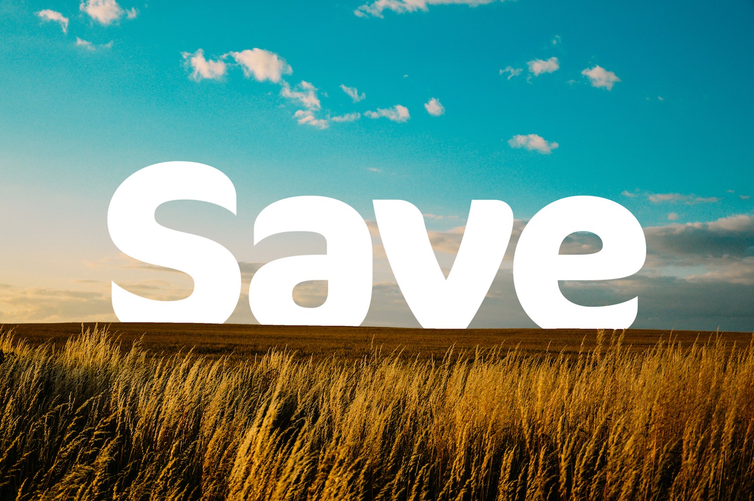 save logo