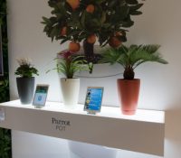 Parrot Pot (1 sur 2)