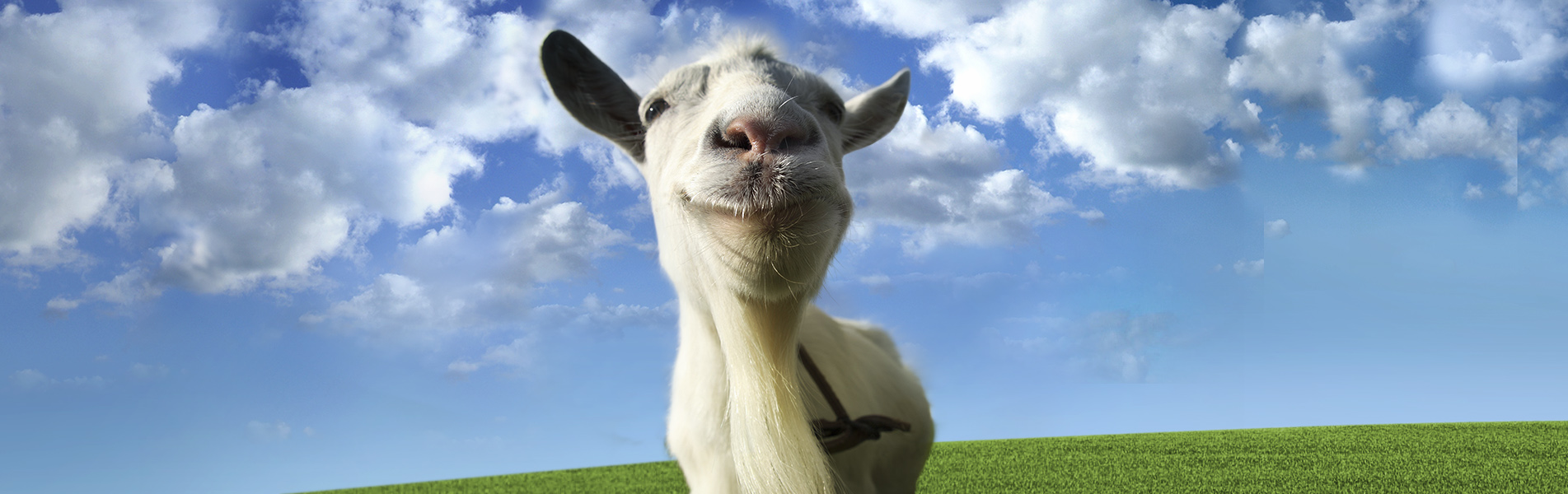 goat-simulator