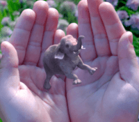magic-leap-1000×593