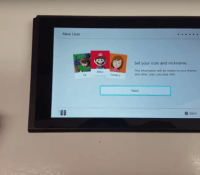 nintendoswitchinterface
