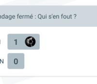 sondage-google-allo