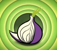 tor-oignon