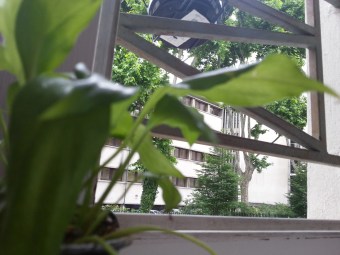 2012-06-07-12.04.48