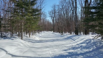 20160327_153154_HDR