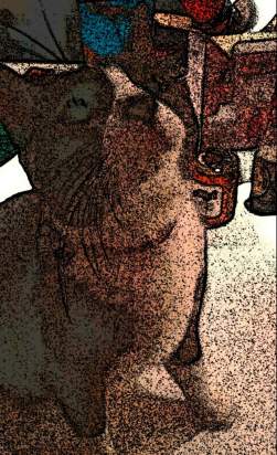 Cartoon-Camera-02