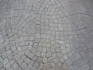 DSCN0266