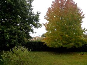 IMG_20121020_124346