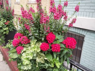 IMG_20150714_214832-2