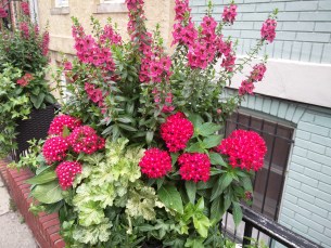 IMG_20150714_214832-2