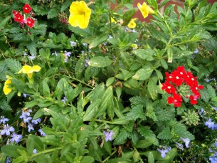 IMG_20150714_215400-2