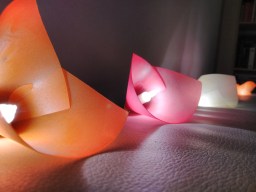 IMG_20170317_072359