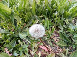 IMG_20170427_195649_HDR