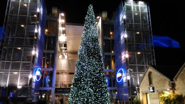 P_20151204_185328