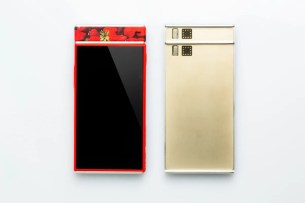 Project-ARA-25