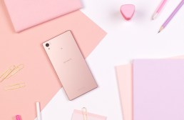 Z5-Pink-Lifestyle-Sakura