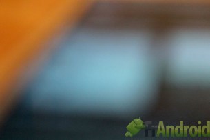 c_IMG_2138-1600