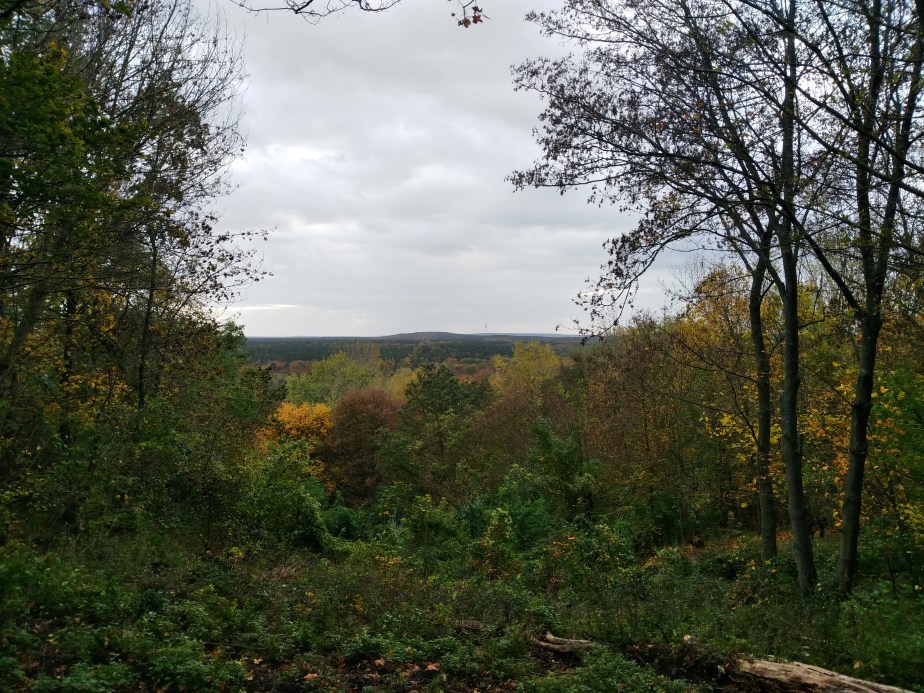 details_photo_axon_7