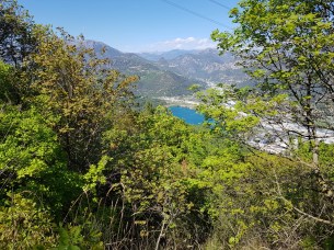 sgs8-sample-27