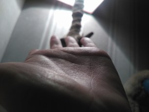 wileyfox-storm-photo-test-4