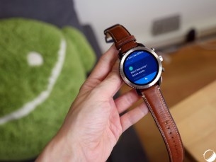 fossil-q-explorist23