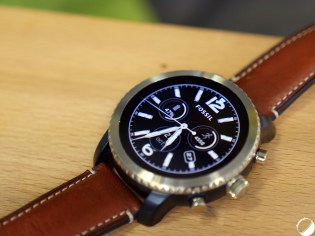 fossil-q-explorist8