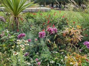 img_20170926_121119_hdr