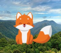 cleanfox