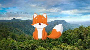 Cleanfox : l’application qui nettoie votre boîte mail pour sauver la planète Cleanfox : l’application qui nettoie votre boîte mail pour sauver la planète