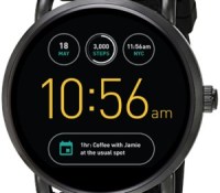 fossil_q_wander