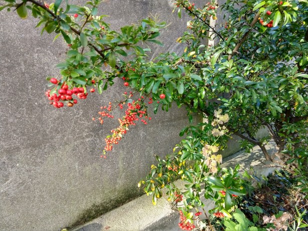 img_20171228_132132490_hdr