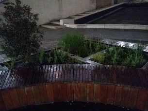 IMG_20180502_220559066_LL