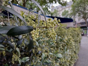 IMG_20180521_150449
